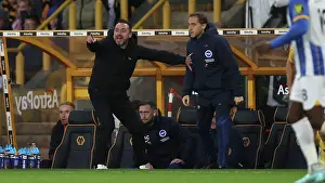 Premier League Showdown: Wolverhampton Wanderers vs. Brighton and Hove Albion - November 5, 2023: A Battle at Molineux