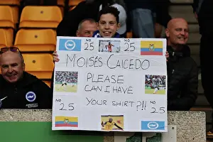 Premier League Showdown: Wolverhampton Wanderers vs. Brighton and Hove Albion - November 5, 2023: A Battle at Molineux