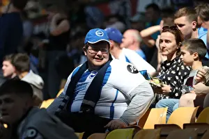 Premier League Showdown: Wolverhampton Wanderers vs Brighton and Hove Albion at Molineux Stadium (20APR19)
