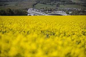 The Amex Stadium Collection: Rapeseed Field American Express Community Stadium 04MAY18