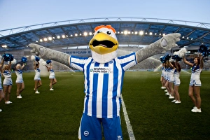 <b class=qtipBold><figcaption>Reading - 10-04-2012</figcaption></b><br>Brighton And Hove Albion Past Seasons: Season 2011-12: 2011-12 Home Games: Reading - 10-04-2012 Reading - 10-04-2012