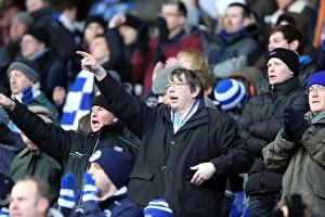 Birmingham City - 19-01-2013 Prints: Reliving the Thrills: Brighton & Hove Albion vs