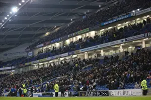 The Roaring Albion Fan: Brighton and Hove vs Wigan Athletic, American Express Community Stadium, 2014