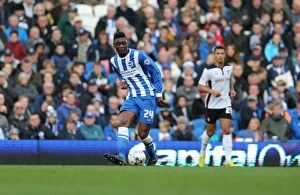Images Dated 25th October 2014: Rohan Ince in Action: Brighton and Hove Albion vs Rotherham United at American Express Community
