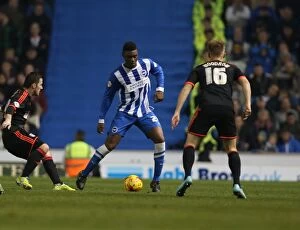 Images Dated 29th November 2014: Rohan Ince in Action: Brighton & Hove Albion vs. Fulham (29NOV14)