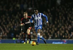 Images Dated 29th November 2014: Rohan Ince in Action: Brighton & Hove Albion vs Fulham (29NOV14)