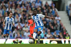 Rohan Ince in Action: Brighton & Hove Albion vs Bolton Wanderers, Spanish Day (September 21, 2013)