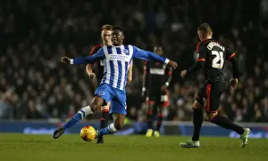 Fulham 29NOV14 Prints: Rohan Ince in Action: Brighton & Hove Albion vs Fulham (29NOV14)