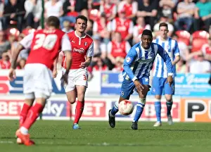 Rotherham United 06APR15 Prints: Rohan Ince in Action: Brighton Midfielder Battles in Sky Bet Championship Clash vs