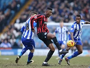 Images Dated 14th February 2015: Rohan Ince in Action: Championship Showdown between Sheffield Wednesday