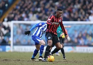Images Dated 14th February 2015: Rohan Ince in Action: Championship Showdown between Sheffield Wednesday