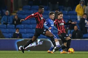 Images Dated 10th February 2015: Rohan Ince: Midfield Battle in Cardiff City vs. Brighton and Hove Albion, Sky Bet Championship 2015