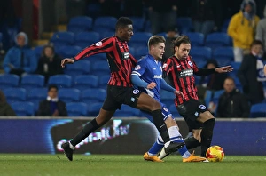 Rohan Ince: Midfield Battle in Cardiff City vs. Brighton and Hove Albion, Sky Bet Championship 2015