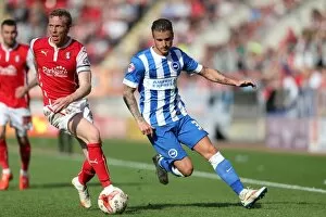 Rotherham United Gallery: Rotherham United v Brighton and Hove Albion