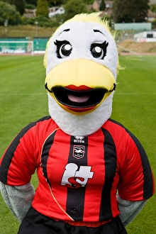 Sally Seagull