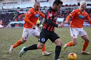 Images Dated 31st January 2015: Sam Baldock in Action: Brighton and Hove Albion vs. Blackpool