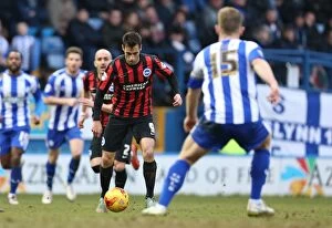 Images Dated 14th February 2015: Sam Baldock in Action: Sheffield Wednesday vs. Brighton & Hove Albion