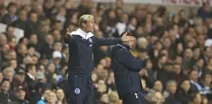 Tottenham Hotspur 29OCT14 Prints: Sami Hyypia Leads Brighton and Hove Albion in Capital One Cup Clash against Tottenham Hotspur (October 2014)