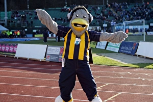 Images Dated 30th January 2010: Sammy