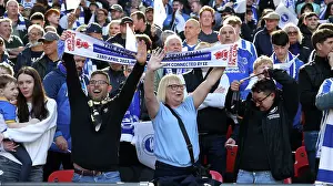 Sea of Albion: Brighton and Hove FA Cup Semi-Final vs Manchester United at Wembley (23APR23)