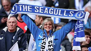 Sea of Albion: Brighton and Hove FA Cup Semi-Final vs Manchester United at Wembley Stadium (23APR23)