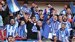 Sea of Albion: Brighton and Hove FA Cup Semi-Final vs Manchester United at Wembley Stadium (23APR23)