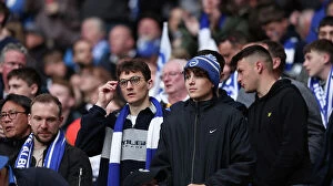 Images Dated 23rd April 2023: Sea of Albion: Brighton and Hove Fans at Wembley FA Cup Semi-Final vs Manchester United (23APR23)