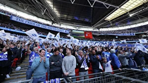 Images Dated 23rd April 2023: Sea of Albion: FA Cup Semi-Final at Wembley (23APR23) - Brighton