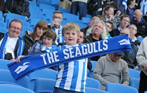 Sea of Colors: Brighton and Hove Albion Fans in Full Force (14APR15)