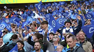 Sea of Passion: Brighton and Hove Albion Fans at the FA Cup Semi-Final vs Manchester United (23APR23)
