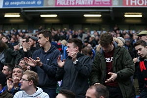 Sea of Passion: Brighton and Hove Albion vs. Norwich City (3rd April 2015)
