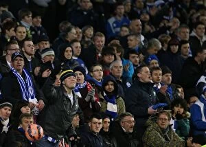 Images Dated 25th January 2015: Sea of Passionate Fans: Brighton & Hove Albion vs. Arsenal FA Cup Showdown (25Jan15)