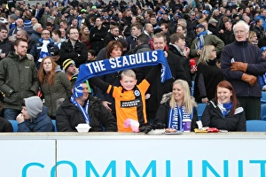 Sea of Passionate Fans: Brighton & Hove Albion vs. Arsenal FA Cup Showdown (25Jan15)