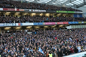 Sea of Passionate Fans: Brighton & Hove Albion vs. Arsenal FA Cup Showdown (25Jan15)