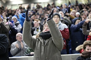 Sea of Passionate Fans: Brighton & Hove Albion vs. Arsenal FA Cup Showdown (25Jan15)