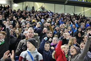 Sea of Passionate Fans: Brighton & Hove Albion vs. Arsenal FA Cup Showdown (25Jan15)