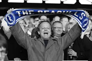 Peterborough United - 16-04-2013 Prints: Sea of Seagulls: Brighton and Hove Albion Away Days 2012-13
