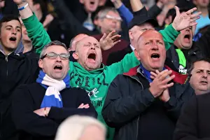 Crystal Palace Play-Off 1st Leg - 10-05-2013 Prints: Sea of Seagulls: Brighton and Hove Albion Away Days 2012-13