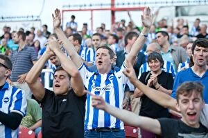 Images Dated 14th August 2012: Sea of Seagulls: Brighton and Hove Albion Away Days 2012-13