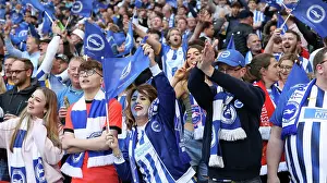 FA Cup Semi-Final 23APR23 Prints: Sea of Seagulls: Brighton and Hove Albion FA Cup Semi-Final vs Manchester United at Wembley (23APR23)