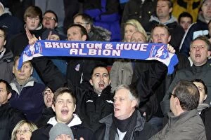 Images Dated 23rd November 2010: Sea of Seagulls: Brighton & Hove Albion FC Fans at Southampton (Nov 2010)