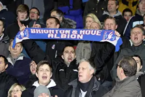 Sea of Seagulls: Brighton & Hove Albion FC Fans at Southampton (Nov 2010)