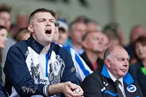 Sea of Supporters: Brighton & Hove Albion Away Games 2011-12