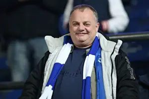 Sea of Supporters: Brighton & Hove Albion Away Games 2012-13