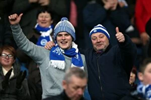 Images Dated 17th November 2012: Sea of Supporters: Brighton and Hove Albion Away Games 2012-13