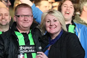 Peterborough United - 16-04-2013 Prints: Sea of Supporters: Brighton & Hove Albion FC Away Days 2012-13