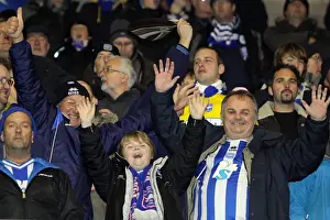 Sea of Supporters: Brighton & Hove Albion FC at Southampton (Nov 2010)