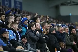 Images Dated 16th December 2017: Sea of Supporters: Brighton and Hove Albion vs. Burnley at the American Express Community Stadium
