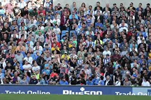 Sea of Supporters: Brighton and Hove Albion vs Atletico de Madrid at American Express Community Stadium (06AUG17)