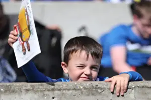 Sea of Supporters: Brighton and Hove Albion vs Atletico de Madrid at the American Express Community Stadium (06AUG17)
